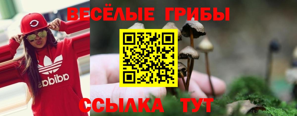 Псилоцибиновые грибы Psilocybe  Вход с VPN  Смоленск 